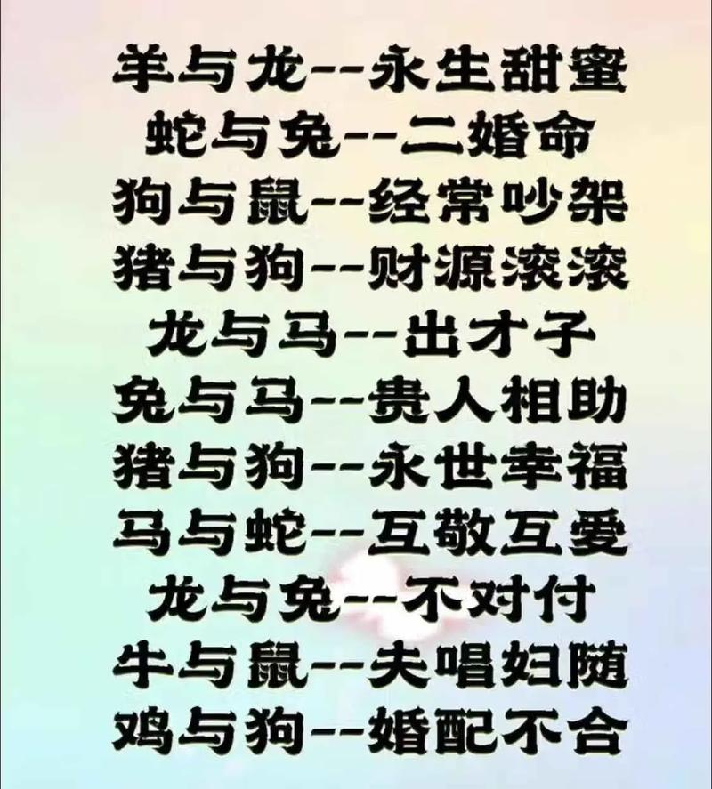 虚席以待打一生肖动物:请晚点再来看看指哪一生肖动物