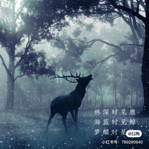 林深见鹿打一生肖:林深见鹿打一生肖?
