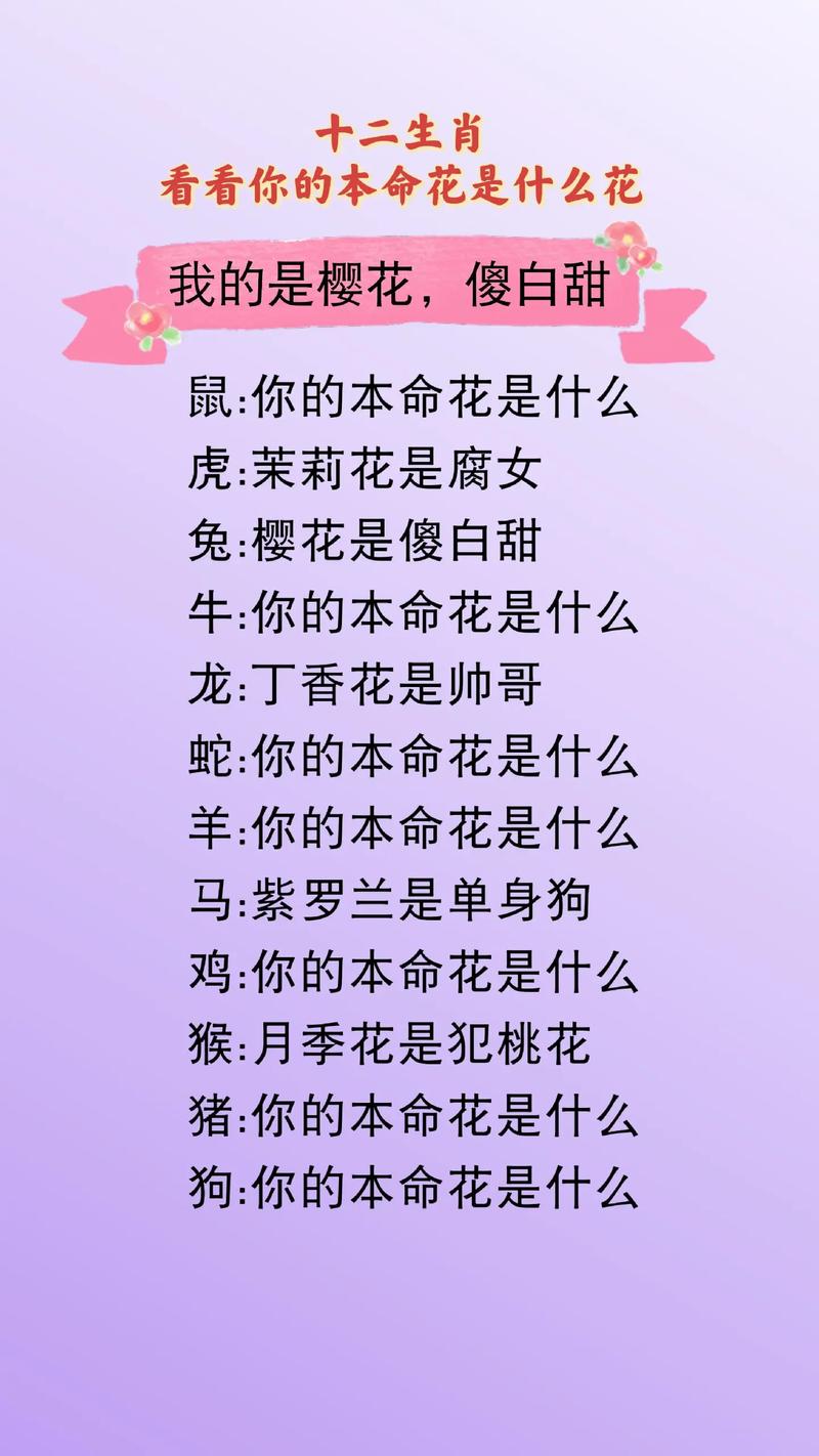 生肖开银花是什么生肖?:银花在十二生肖中指什么花