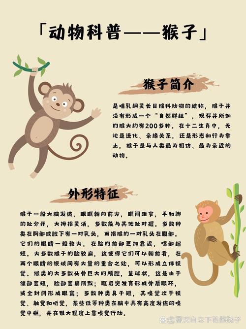 “树上猴群风骚动,头顶蓝天脚踏地”是代表哪个生肖的简单介绍