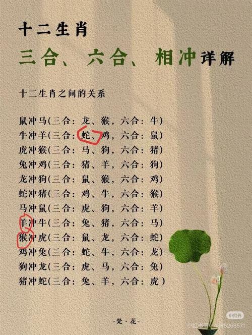 四亲六友出今期打一数字:四亲六友出今期是什么动物