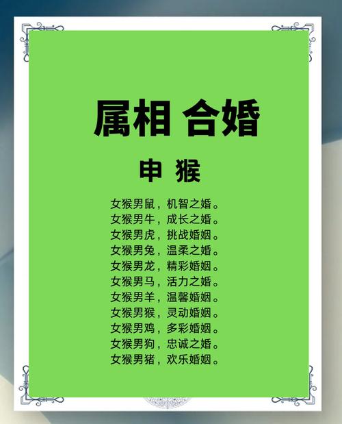 猴生肖和什么生肖相配:猴生肖和什么生肖相配婚姻