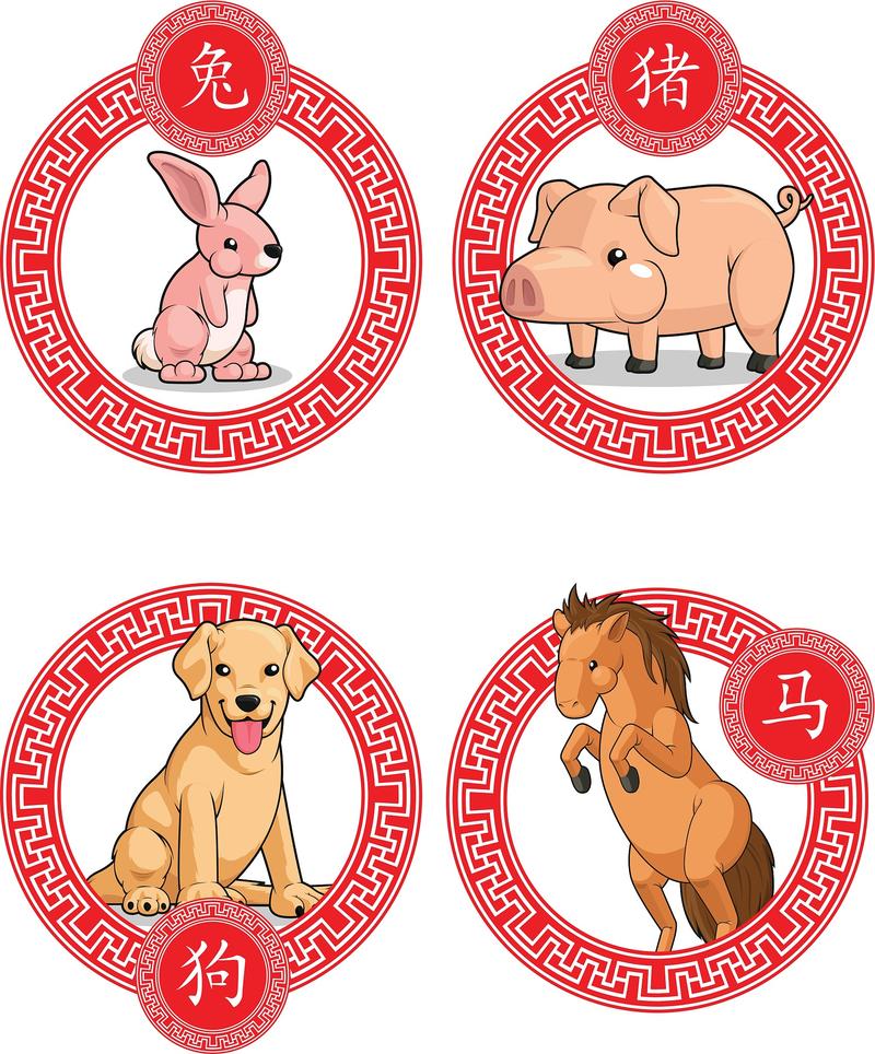 尺寸打一生肖:尺寸是什么动物