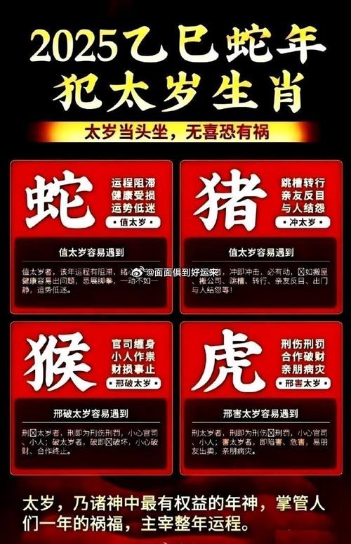 “跌打损伤”是什么生肖动物